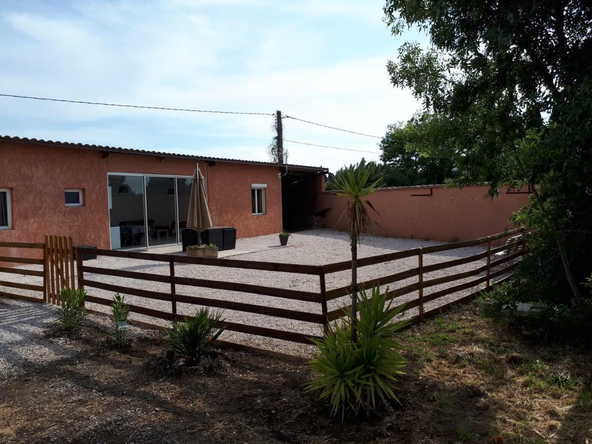 Maison Plain Pied Villelongue-de-la-Salanque Exterior foto